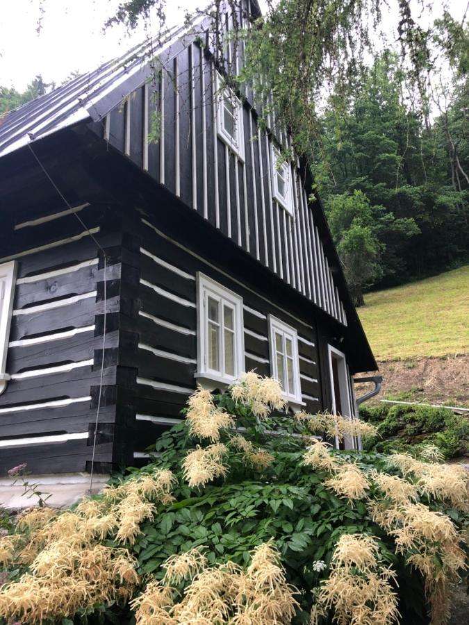 Roubenka Bratrouchov Villa Jablonec nad Jizerou Eksteriør bilde